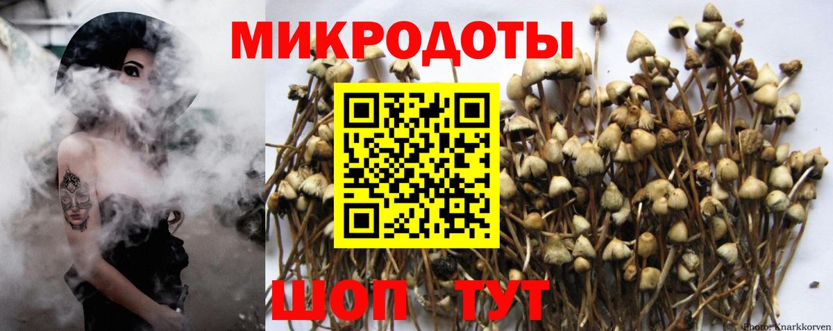 Галлюциногенные грибы Psilocybe Учалы